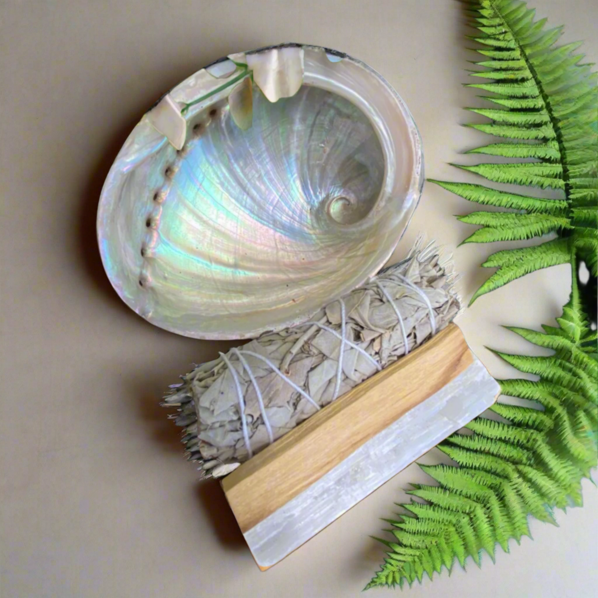 Abalone Shell with Sage Stick, Palo Santo Stick and Selenite