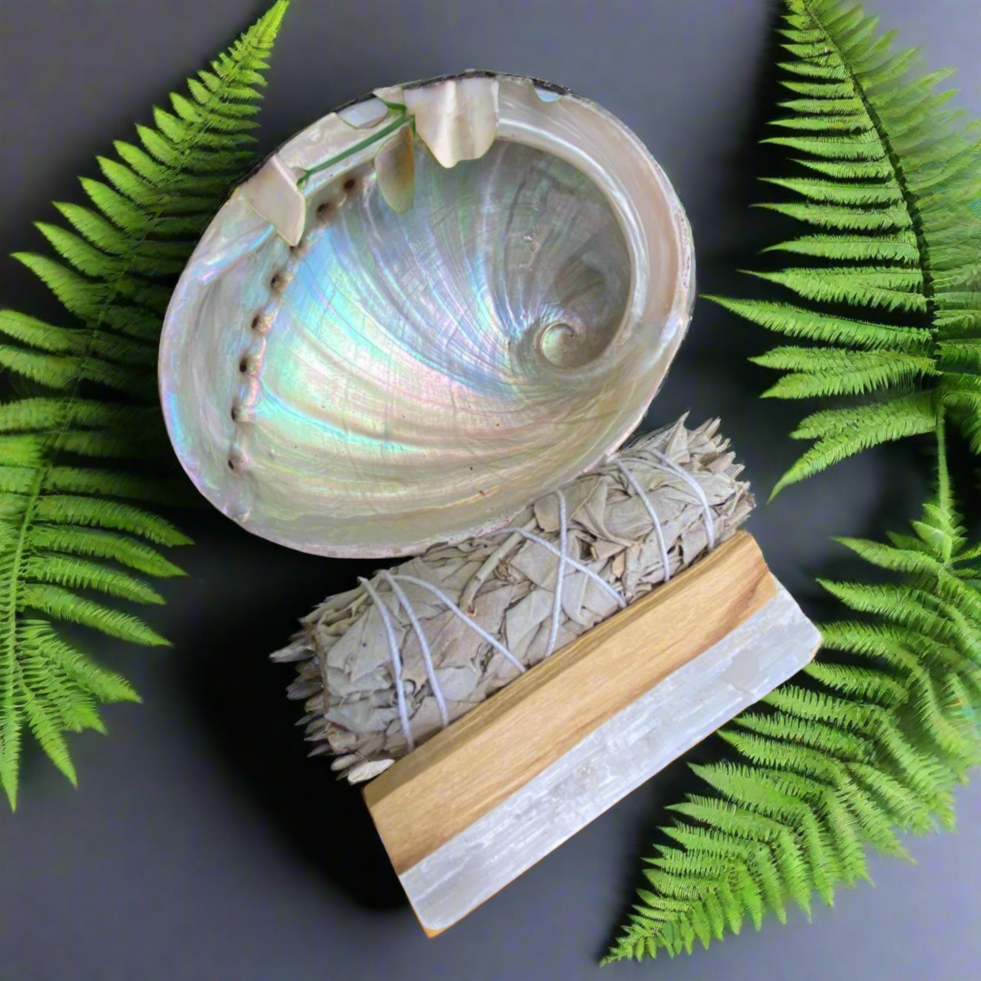 Abalone Shell with Sage Stick, Palo Santo Stick and Selenite